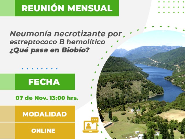 Reunión Mensual Noviembre