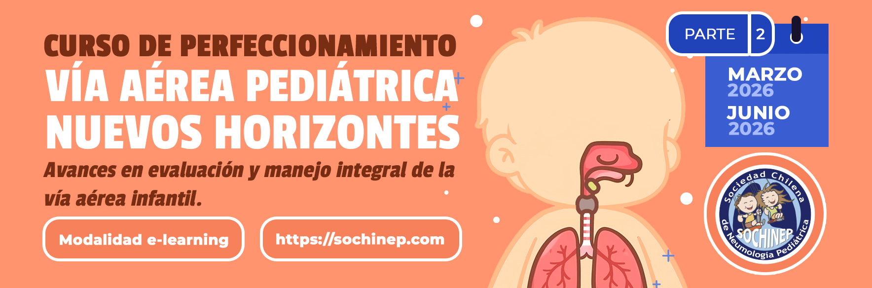 V&iacute;a A&eacute;rea Pedi&aacute;trica - Nuevos Horizontes: Avances en evaluaci&oacute;n y manejo integral de la v&iacute;a a&eacute;rea infantil