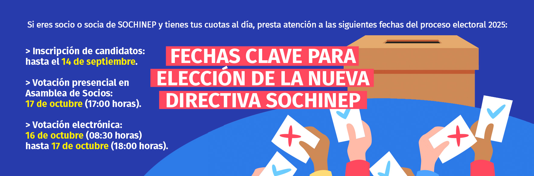 Elecciones Directorio SOCHINEP